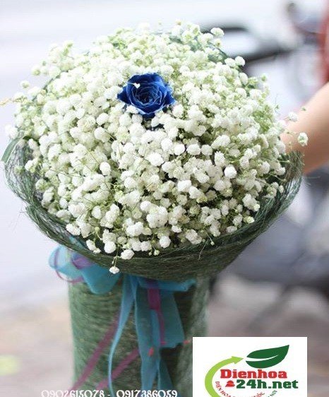 Giao hoa Vũng Tàu - Dịch vụ giao hoa tận nơi đẳng cấp, gửi trọn yêu thương đến người thân yêu