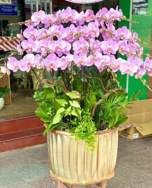 Giao hoa Vũng Tàu - Dịch vụ giao hoa tận nơi đẳng cấp, gửi trọn yêu thương đến người thân yêu