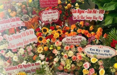 Giỏ trái cây Vũng Tàu - Một trải nghiệm thú vị không thể bỏ qua