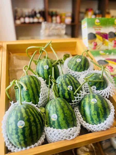 Giỏ Trái Cây Vũng Tàu: Biếu Tặng Sức Khỏe, Ý Nghĩa | Đặt Online