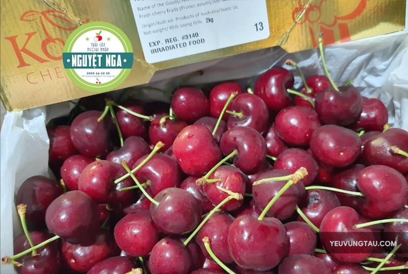 Hộp Trái Cây Vũng Tàu: Tiện Lợi, Sang Trọng, Giá Tốt