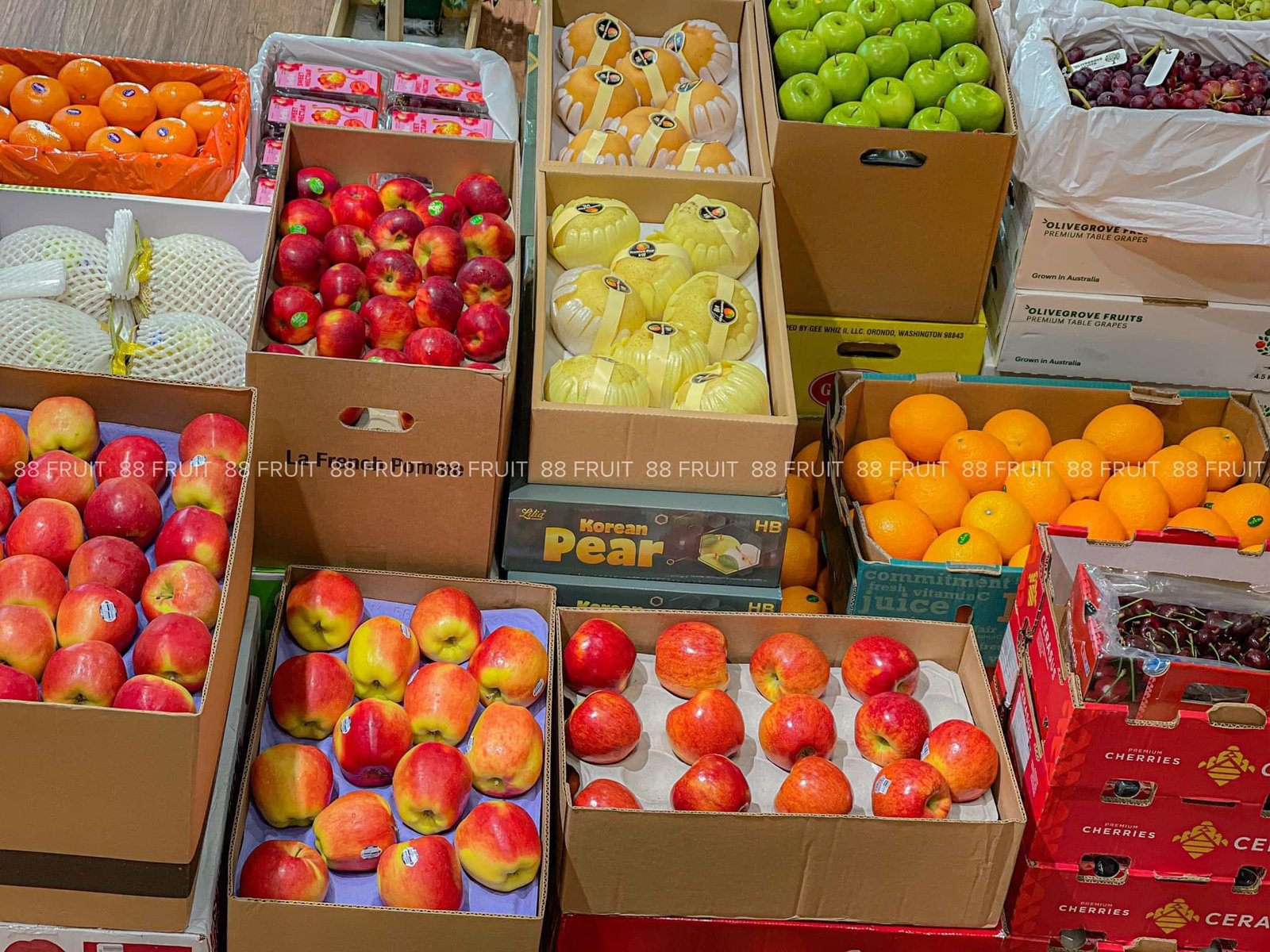 Hộp Trái Cây Vũng Tàu: Tiện Lợi, Sang Trọng, Giá Tốt