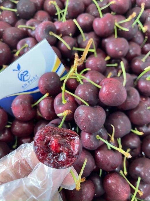 Hộp Trái Cây Vũng Tàu: Tiện Lợi, Sang Trọng, Giá Tốt