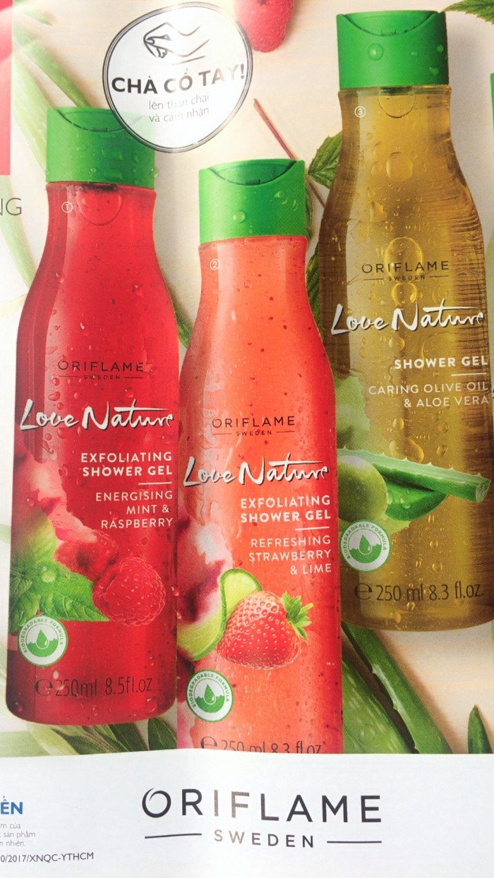 Giỏ Trái Cây Vũng Tàu: Quà Tặng Ý Nghĩa Cho Mọi Dịp