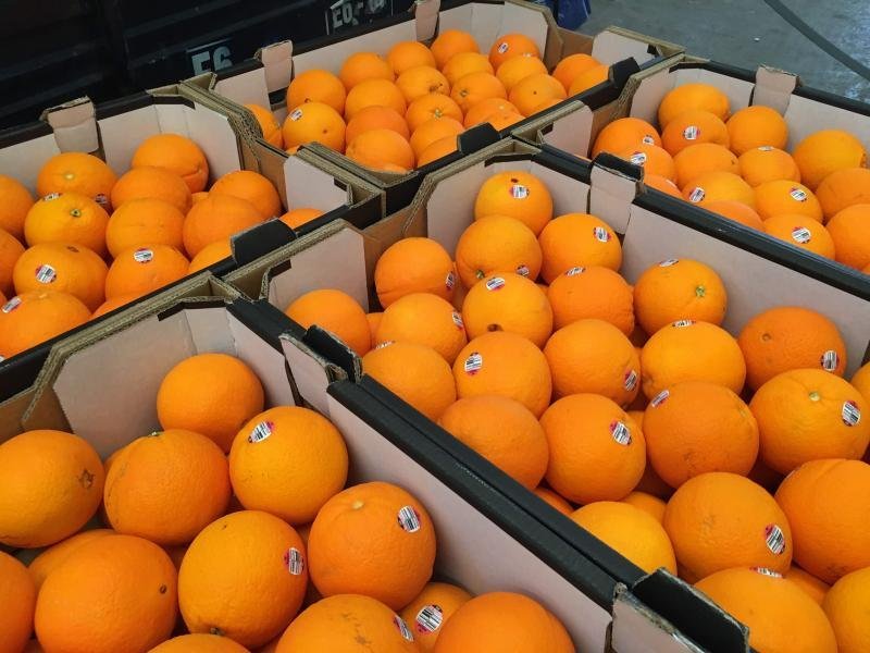 Giỏ Trái Cây Vũng Tàu - Món Quà Sức Khỏe Tinh Tế | Giao Tận Nơi