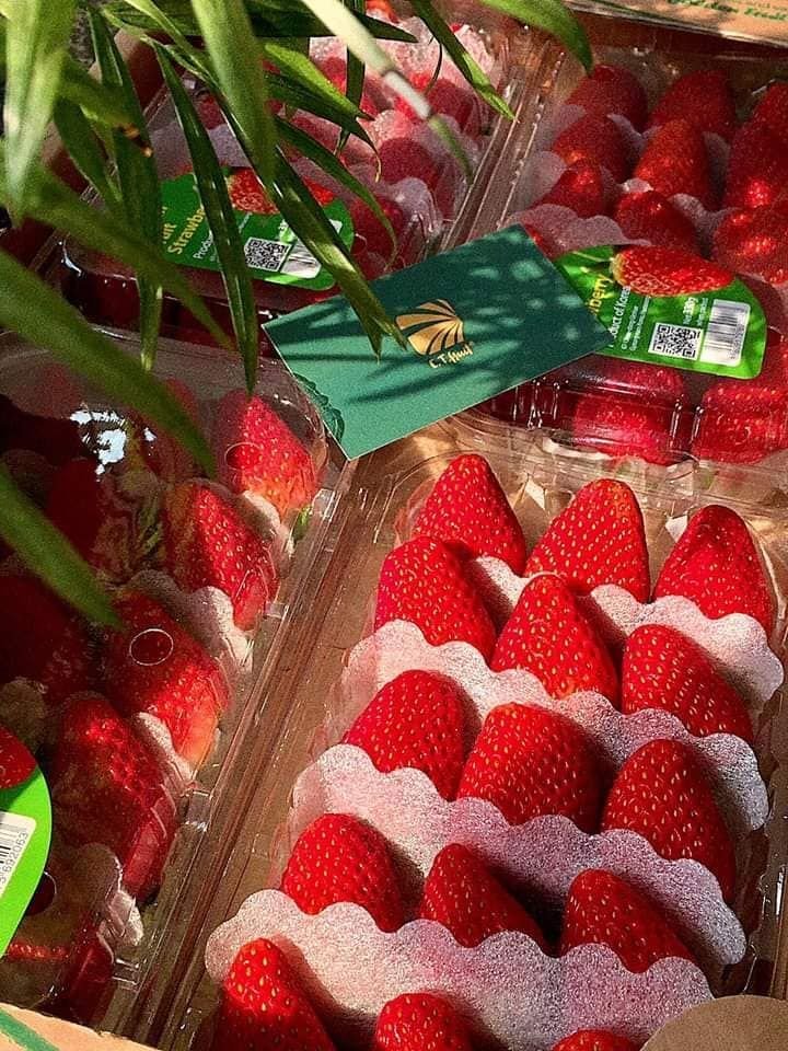 Giỏ Trái Cây Vũng Tàu - Món Quà Sức Khỏe Tinh Tế | Giao Tận Nơi