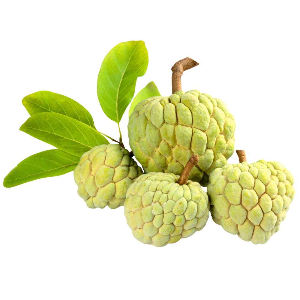 Trái Cây Sạch Vũng Tàu Hoa Tươi: Quà Tặng Ý Nghĩa!