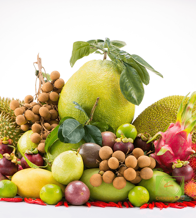 Trái Cây Sạch Vũng Tàu Hoa Tươi: Quà Tặng Ý Nghĩa!