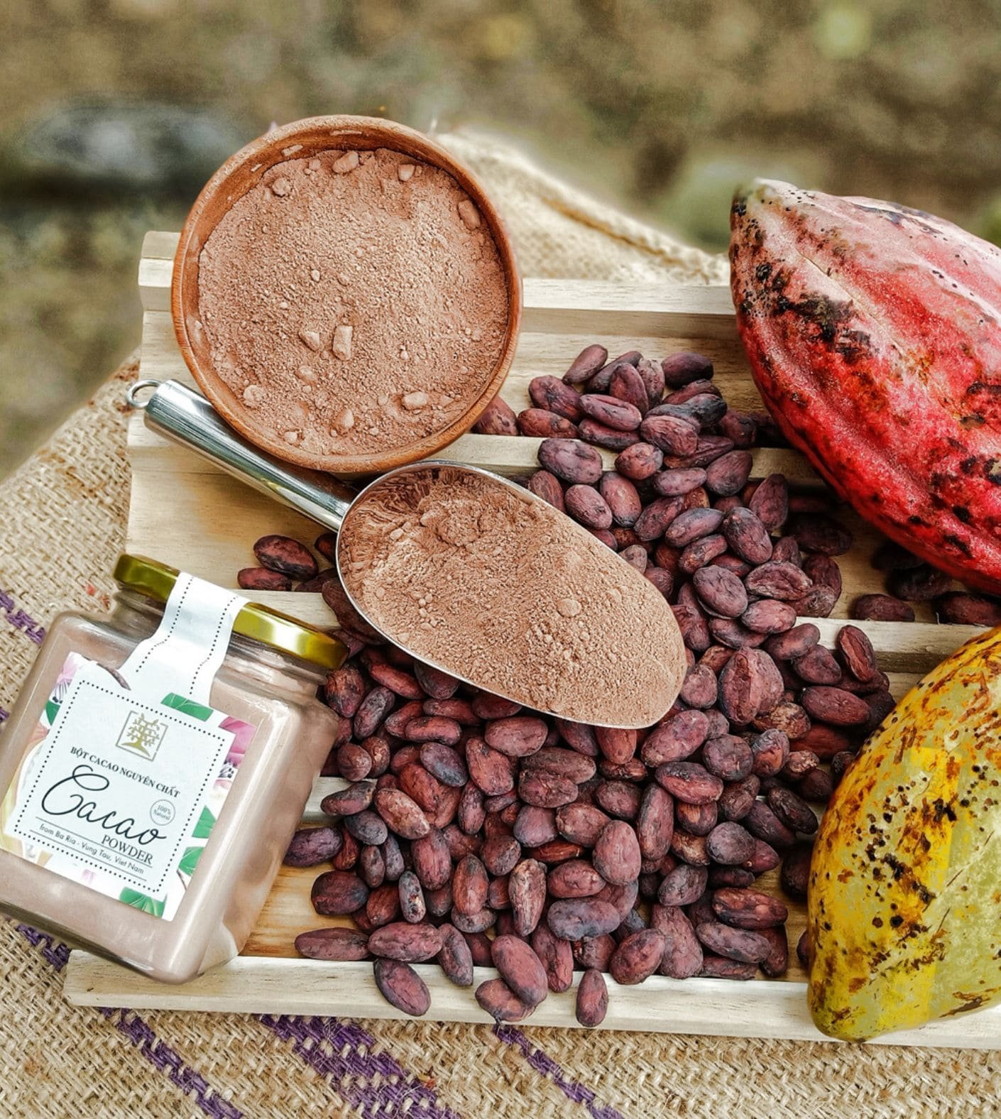 Trái Cây Sạch Vũng Tàu Hoa Tươi: Quà Tặng Ý Nghĩa!