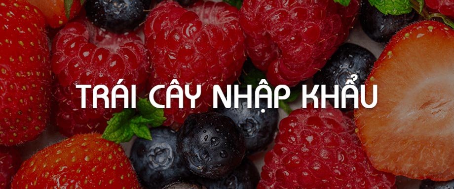 Giỏ Trái Cây Vũng Tàu: Quà Tặng Tinh Tế - Hoa Tươi Kèm Theo