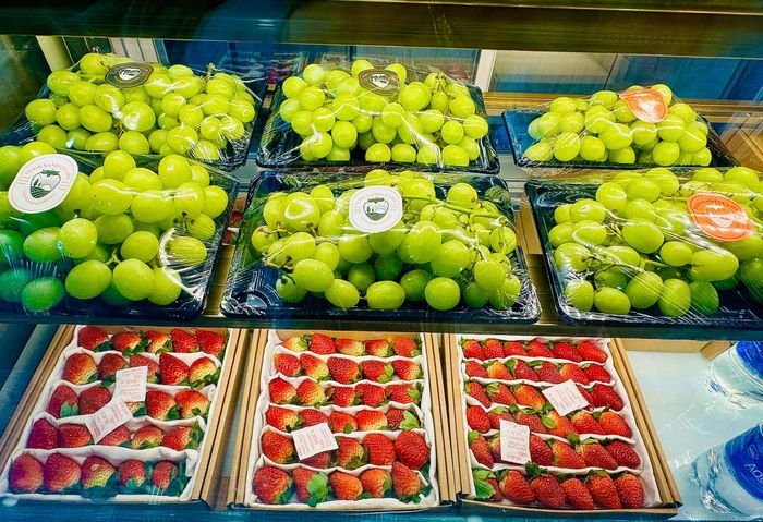 Giỏ Trái Cây Vũng Tàu: Thiết Kế Đẹp, Giá Tốt, Giao Tận Nơi