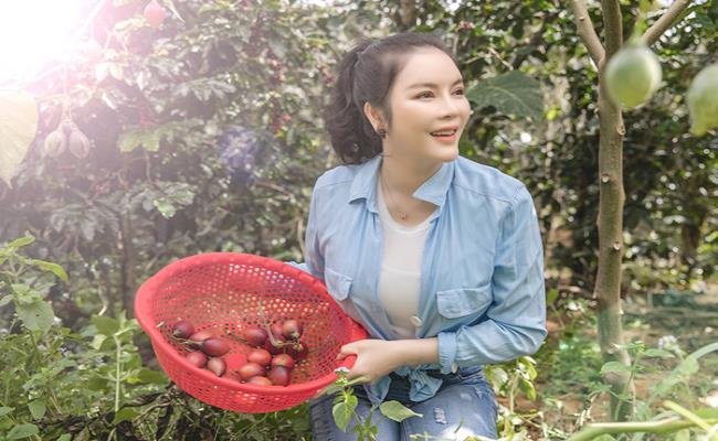 Giỏ Trái Cây Vũng Tàu: Thiết Kế Đẹp, Giá Tốt, Giao Tận Nơi