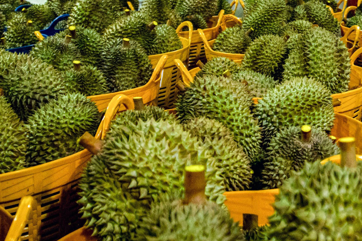 Giỏ Trái Cây Vũng Tàu: Thiết Kế Đẹp, Giá Tốt, Giao Tận Nơi