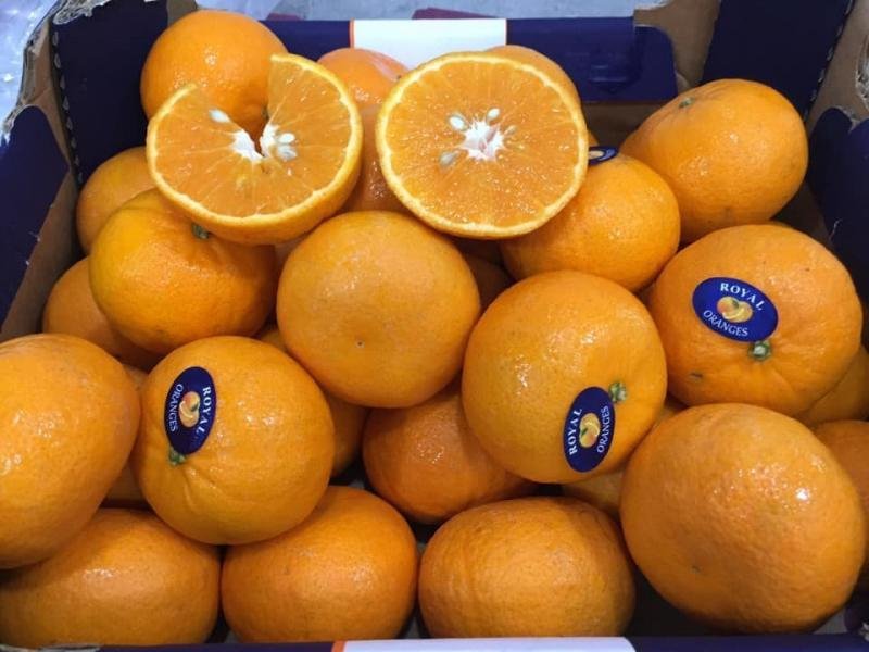 Hoa Tươi Vũng Tàu: Khai Trương, Tang Lễ - Thiết Kế Đẹp, Giá Rẻ