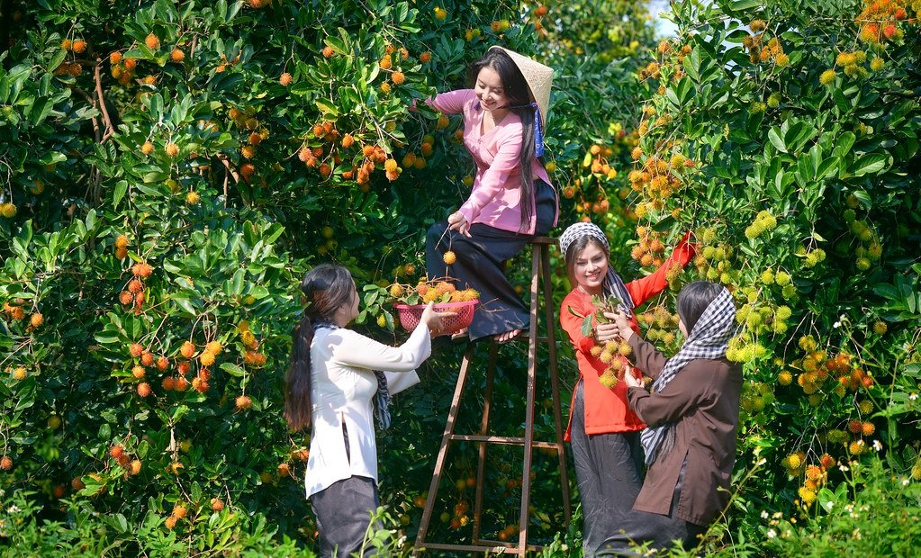 Hoa Tươi Vũng Tàu: Khai Trương, Sinh Nhật, Tang Lễ - Thiết Kế Đẹp