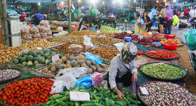 Hoa Tươi Vũng Tàu: Khai Trương, Sinh Nhật, Tang Lễ - Thiết Kế Đẹp