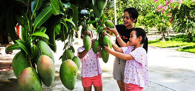 Khám Phá Thế Giới Trái Cây Tươi Ngon và Hoa Tươi Rạng Rỡ tại Vũng Tàu