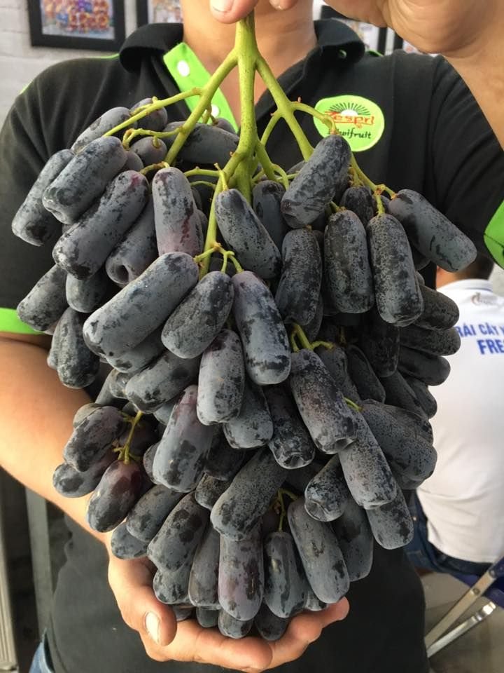 Khám Phá Thế Giới Trái Cây Tươi Ngon và Hoa Tươi Rạng Rỡ tại Vũng Tàu