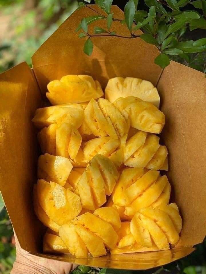 Trái Cây Vũng Tàu Tươi Ngon, Hoa Tươi Thắm | Giao Nhanh, Giá Tốt