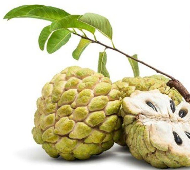 Trái Cây Vũng Tàu Tươi Ngon, Hoa Tươi Thắm | Giao Nhanh, Giá Tốt