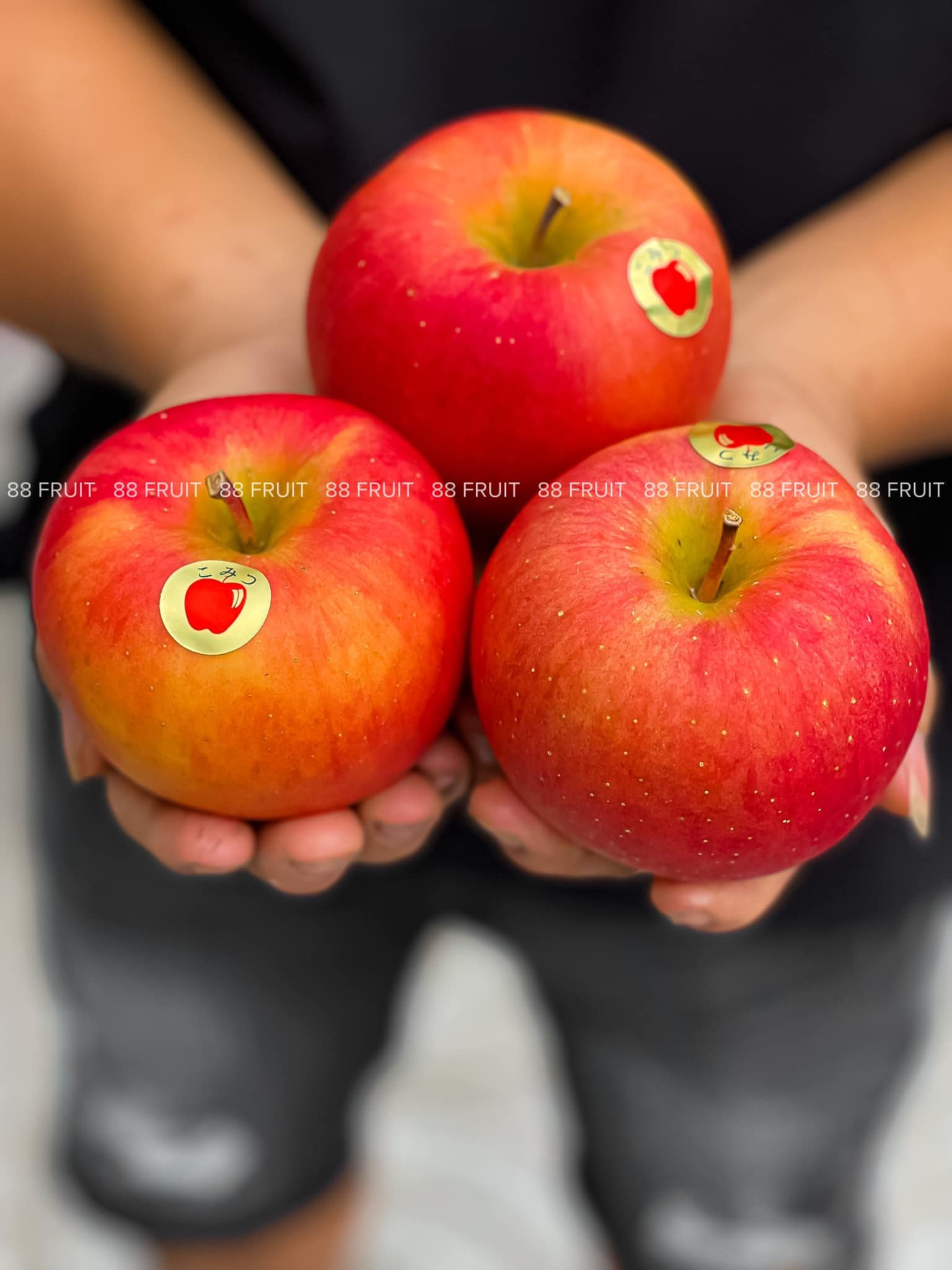 Trái Cây Hoa Tươi Vũng Tàu: Tư Vấn Chọn Mua, Bảo Quản A-Z!