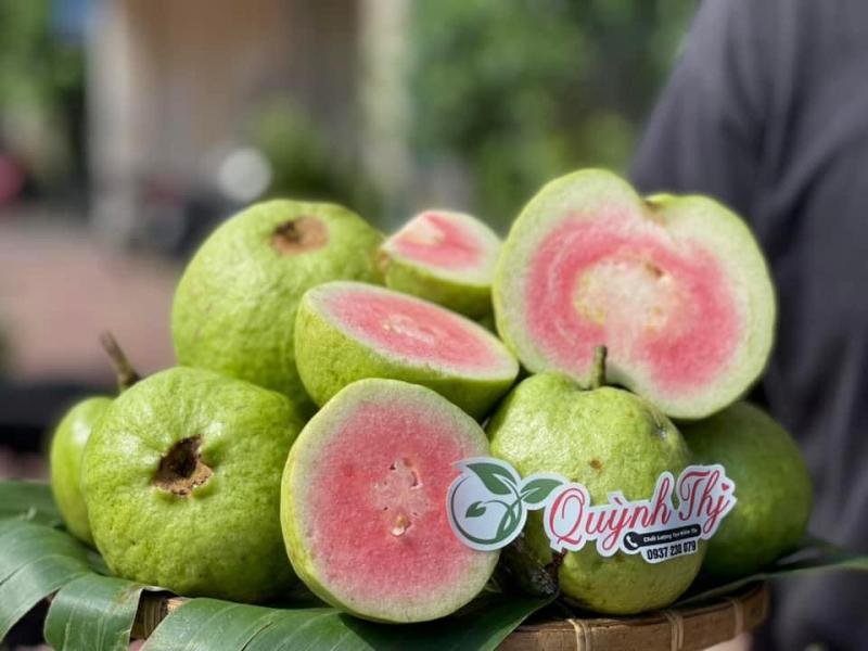 Trái Cây Tươi Vũng Tàu – Đặc Sản Ngon amp;amp;amp; Bổ Dưỡng