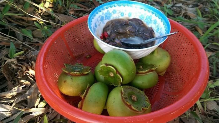 Trái Cây Tươi Vũng Tàu Đặc Sản Ngon Bổ Dưỡng
