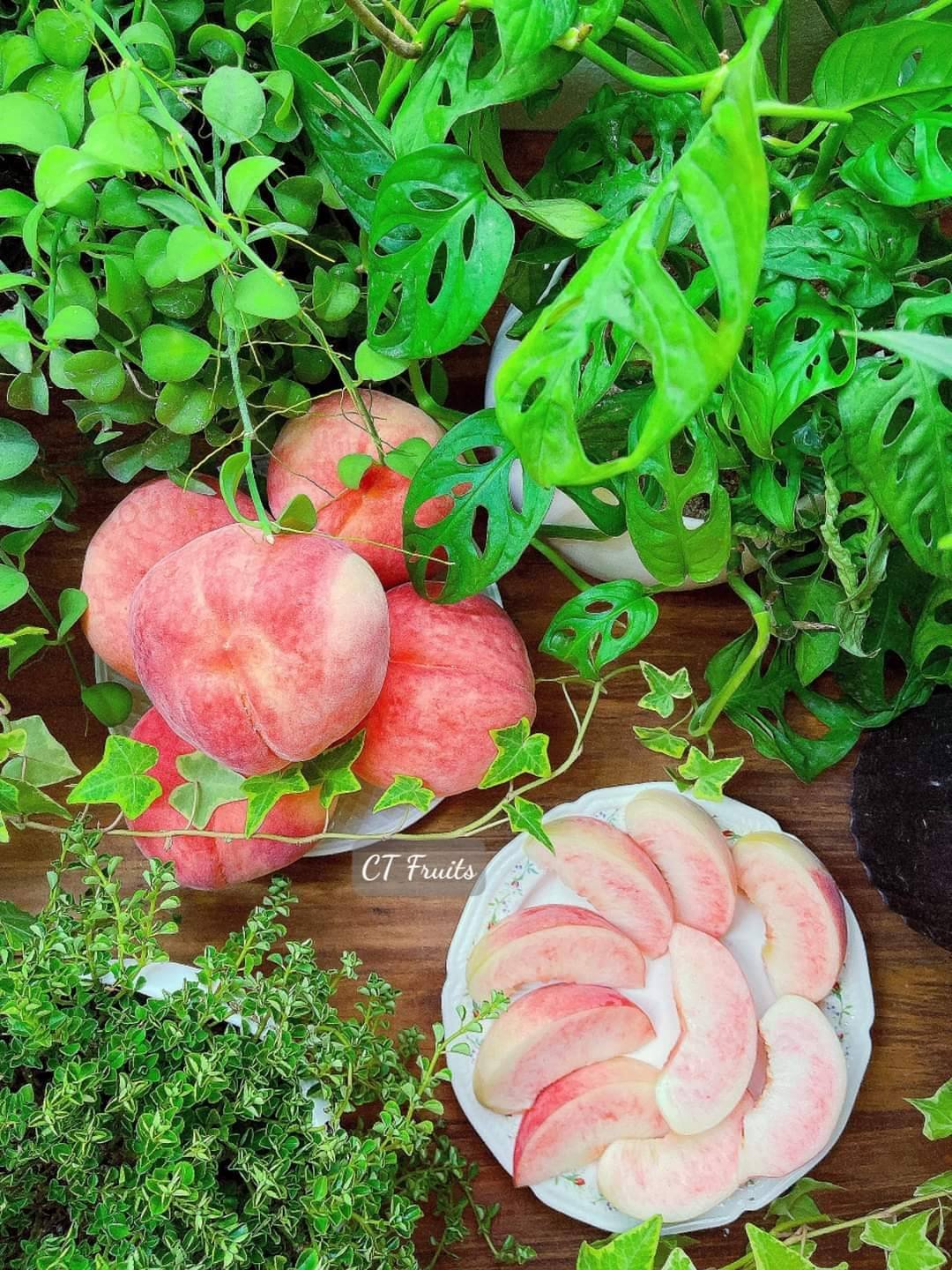 Hoa tươi Vũng Tàu - Điện hoa nhanh chóng, giá tốt