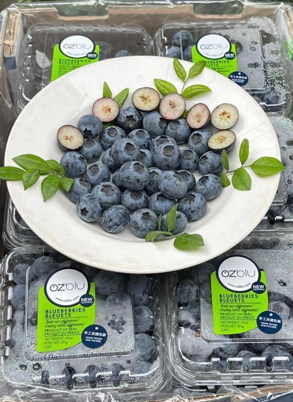 Hoa Tươi Vũng Tàu: Khai Trương, Tang Lễ, Sinh Nhật Đẹp Nhất