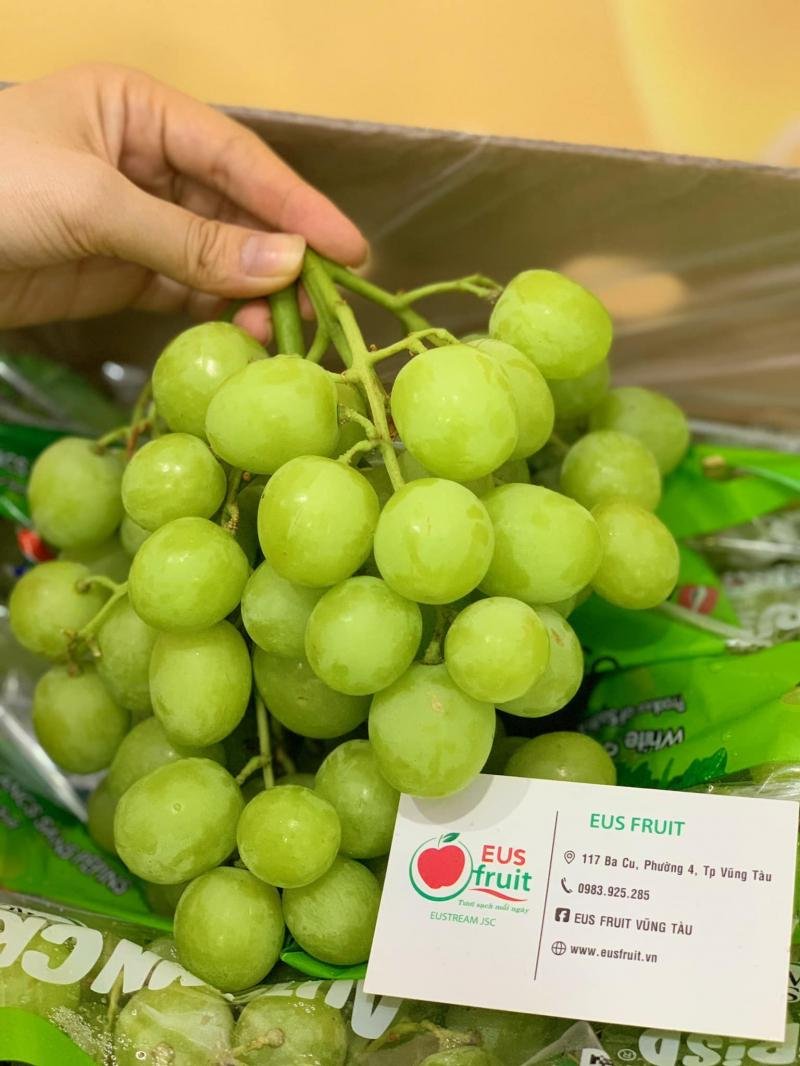 Trái Cây Tươi Hoa Vũng Tàu: Giao Tận Nơi, Uy Tín!