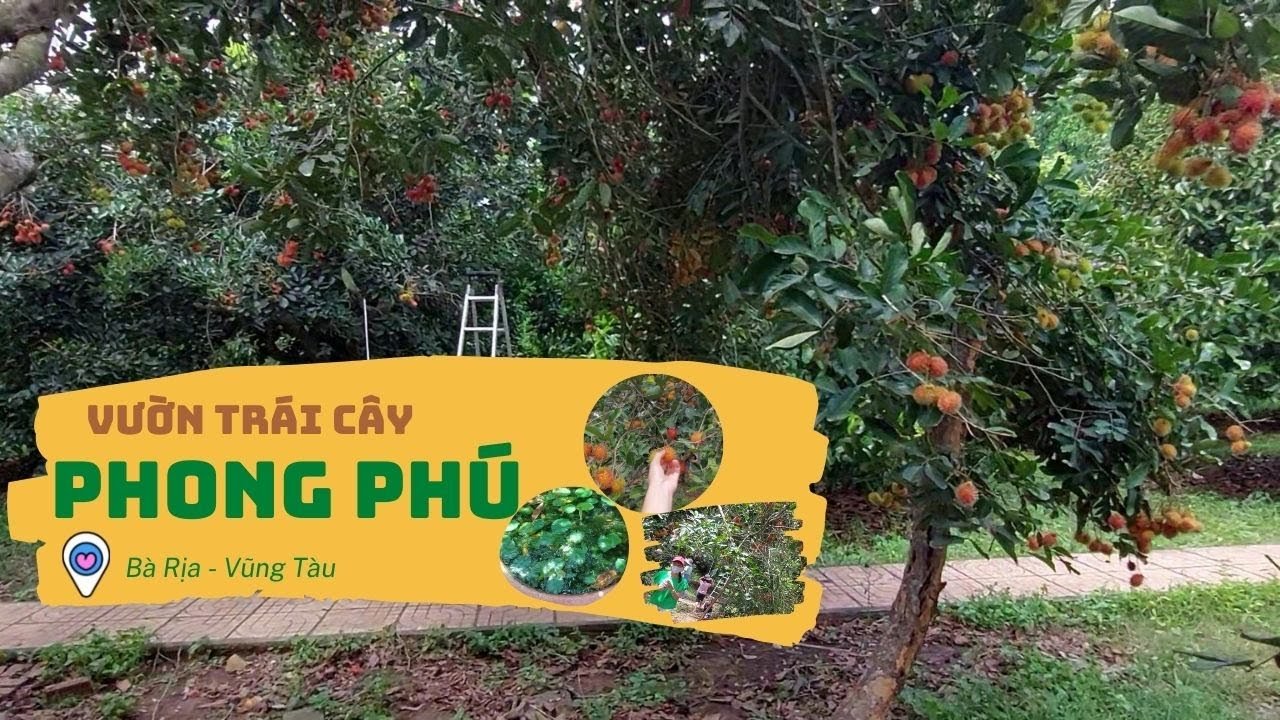 Trái Cây Tươi Hoa Vũng Tàu: Quà Tặng Uy Tín, Giao Nhanh