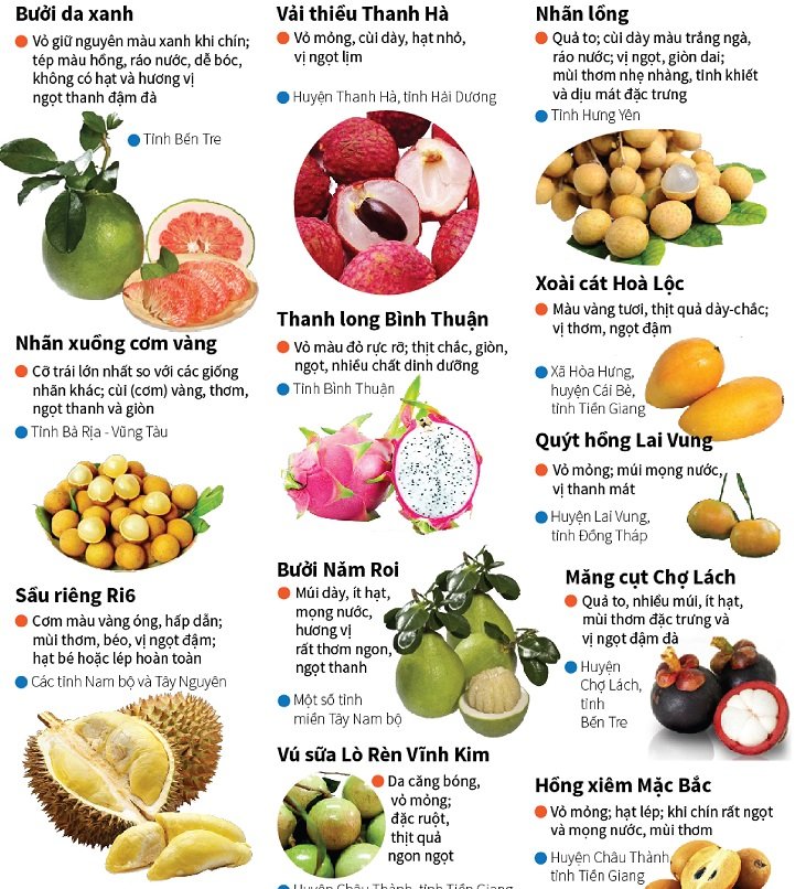 Giỏ Trái Cây Vũng Tàu: Sang Trọng, Tinh Tế, Chất Lượng