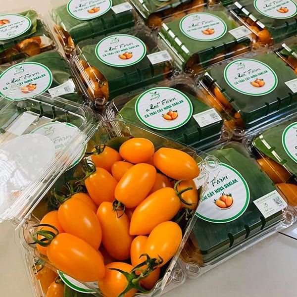 Trái cây tươi và sạch Vũng Tàu - Đảm bảo chất lượng cao