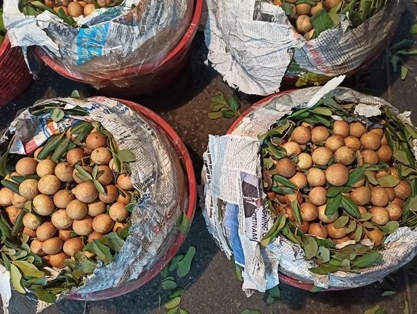 Trái Cây Tươi Vũng Tàu: Ngon, Sạch, Giá Tốt Nhất!