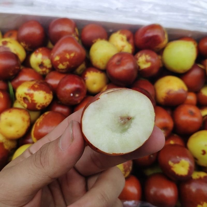 Quà tặng Trái cây Hoa tươi Vũng Tàu: Cao cấp, tươi ngon