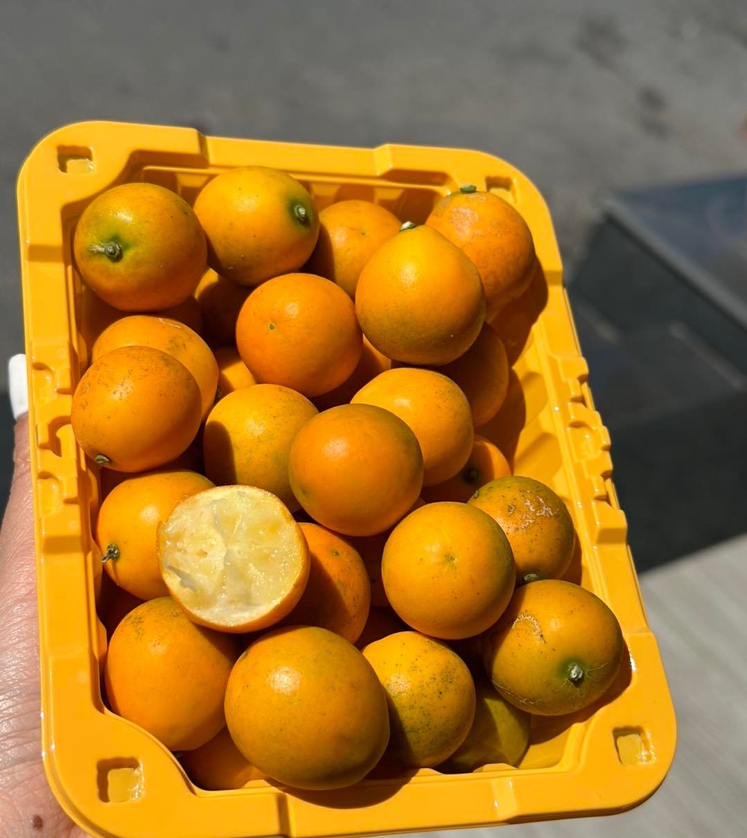 Quà tặng Trái cây Hoa tươi Vũng Tàu: Cao cấp, tươi ngon