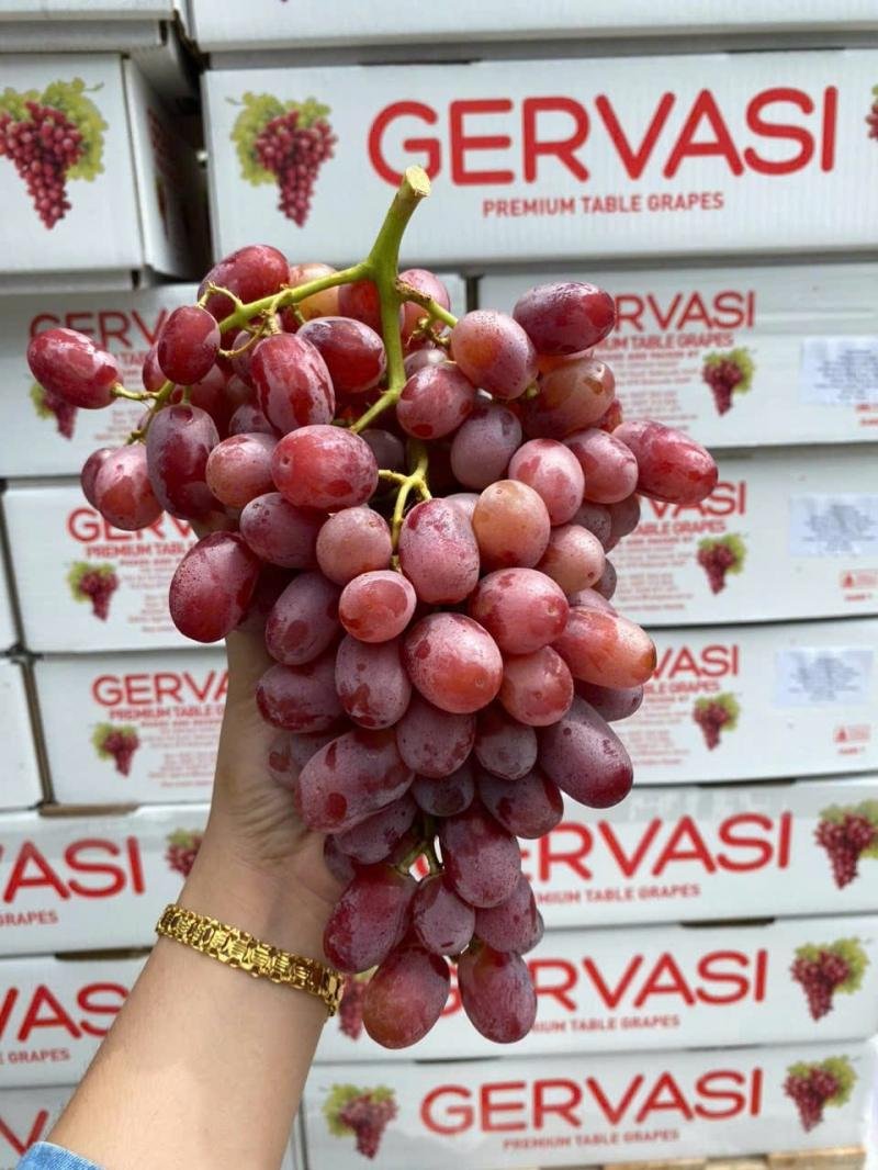 Quà tặng Trái cây Hoa tươi Vũng Tàu: Cao cấp, tươi ngon