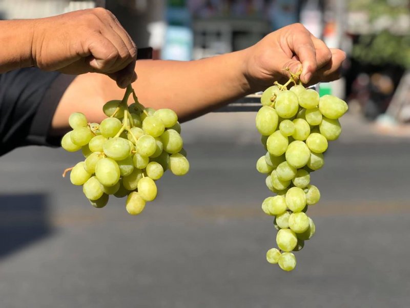 Giỏ Hộp Trái Cây Vũng Tàu Đẹp, Ý Nghĩa | Quà Tặng Khai Trương, Sinh Nhật