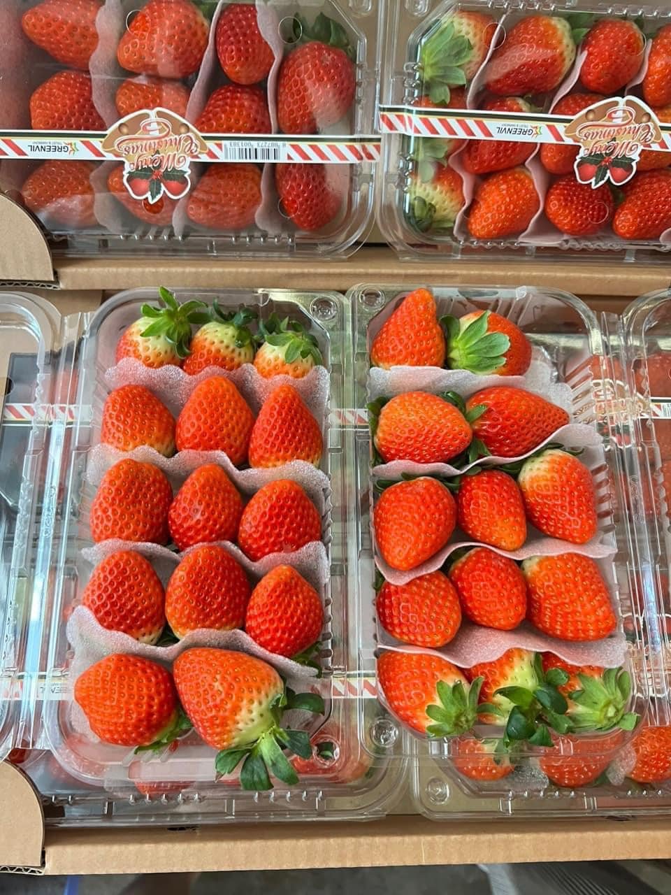 Hoa Tươi  Trái Cây Vũng Tàu | Khai Trương, Tang Lễ, Sinh Nhật