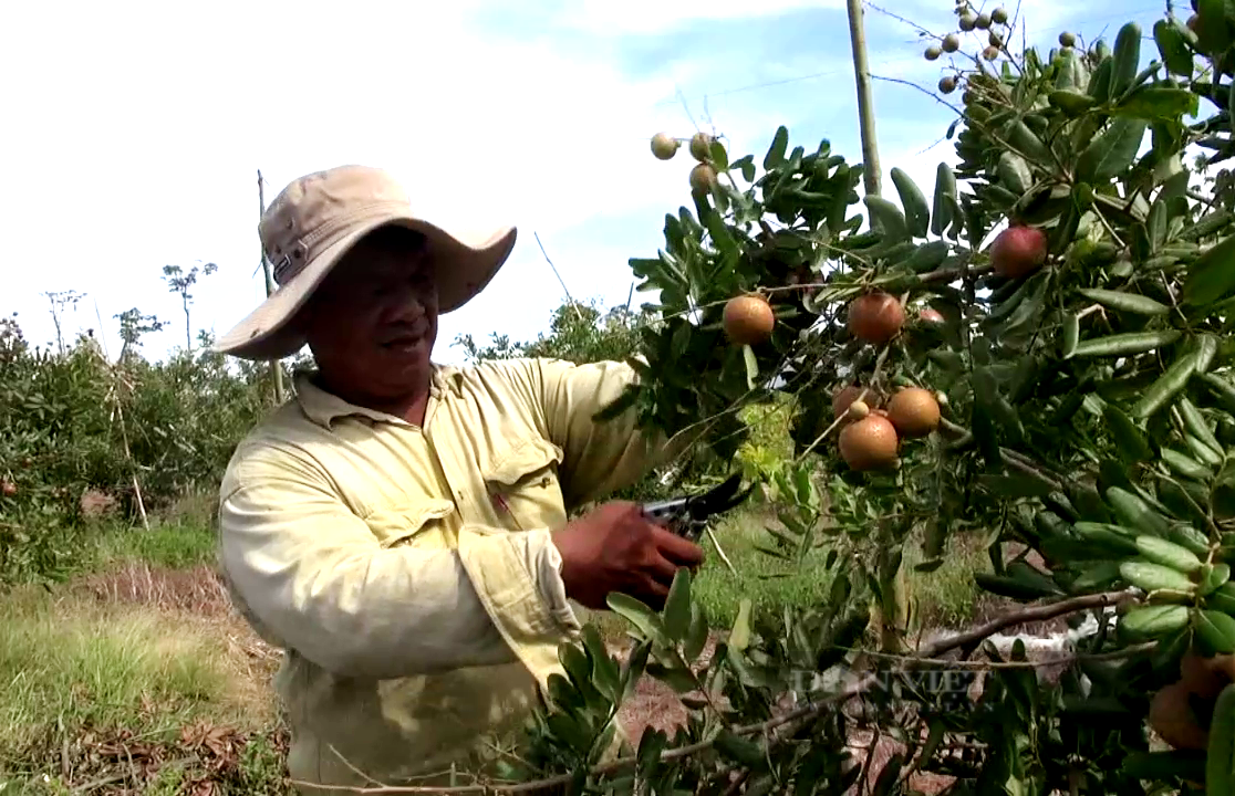 Trái Cây Tươi Hoa Vũng Tàu: Khai Trương, Sinh Nhật, Tang Lễ