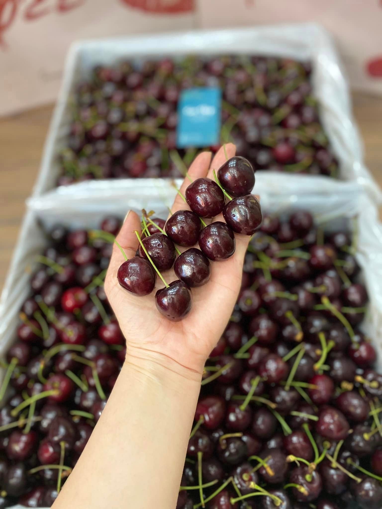 Trải Nghiệm Mua Sắm Trái Cây Tươi Vũng Tàu Và Hoa Tươi Chất Lượng Cao