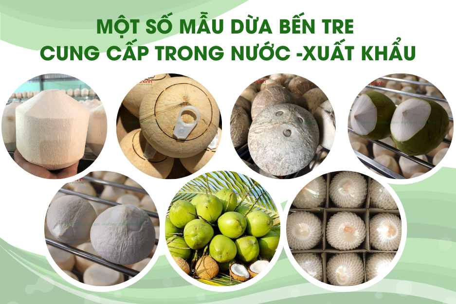 Trải Nghiệm Mua Sắm Trái Cây Tươi Vũng Tàu Và Hoa Tươi Chất Lượng Cao